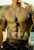 Portada del libro "Spider. "