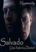 Portada del libro "Destiel: Salvado"