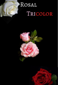 Portada del libro "Rosal Tricolor"