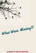 Book cover "What Went Missing!!!"