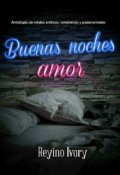 Portada del libro "Buenas noches, amor"