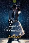 Portada del libro "Amor bajo el muérdago"