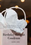 Book cover "The Birthday Present Condundrum"