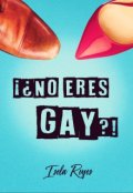 Portada del libro "¡¿no eres gay?!"