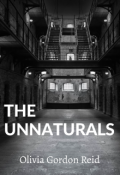 Book cover "The Unnaturals "