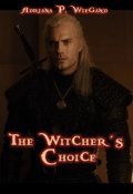 Book cover "The Witcher´s Choice"