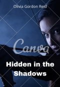 Book cover "Hidden in the Shadows: Book Two "