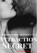 Portada del libro "Attraction Secret "