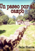 Portada del libro "Un paseo por el campo . Secuestro "