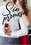 Portada del libro "Sin promesas"