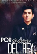 Portada del libro "#4.- Por Orden del Rey - Kray y Taoris"