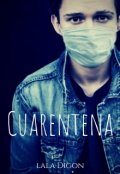 Portada del libro "Cuarentena (fanfic Starker) "