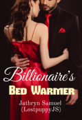 Book cover "Billionaire's Bed Warmer   "