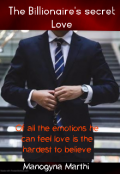 Book cover "The Billionaire's secret Love"