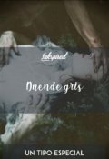 Portada del libro "Duende gris (3)"