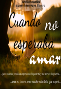 Portada del libro "Cuando no esperaba amar (en edición)"