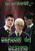 Portada del libro "Dragon Del Destino"