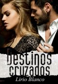 Portada del libro "Destinos cruzados"