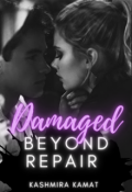 Book cover "Damaged Beyond Repair"