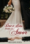 Portada del libro "Doce días para el amor"