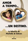 Portada del libro "Amor A Tiempo Un Destino"