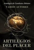 Portada del libro "Artilugios del Placer - Antología de Candentes Relatos"