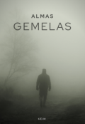 Portada del libro "Almas Gemelas"