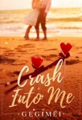 Book cover "Crash Into Me"