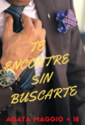 Portada del libro "Te Encontre Sin Buscarte"