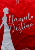 Portada del libro "Llámalo Destino"