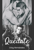 Portada del libro "Quédate [sterek]"