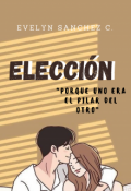 Portada del libro "Elección"