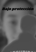 Portada del libro "Bajo protección "