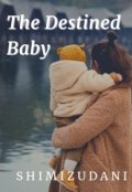 Book cover "The Destined Baby"