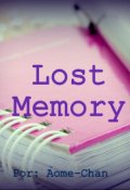 Portada del libro "Lost Memory"