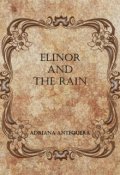 Portada del libro "Elinor and The Rain"