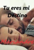 Portada del libro "Tu Eres Mi Destino"