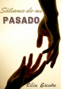 Portada del libro "Sálvame de mi Pasado"