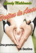 Portada del libro "Destino De Amor"