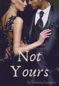 Book cover "Not Yours "