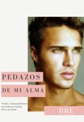 Portada del libro "Pedazos de mi alma "