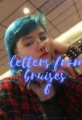Book cover "Letters from bruises 6"
