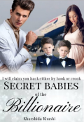 Book cover "Secret Babies of the Billionaire "