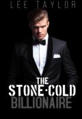 Book cover "The Stone-Cold Billionaire"