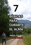 Portada del libro "Bebidas Para Curarte El Alma"