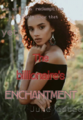 Book cover "The Billionaire's Enchantment"
