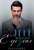 Portada del libro "Jefe solicita esposas"