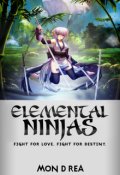 Book cover "Elemental Ninjas "