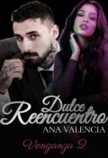 Portada del libro "Dulce Reencuentro"