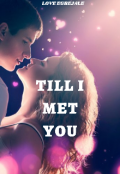 Book cover "Till I Met You"